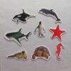 Bamboo Magnetic Pieces "Marine Animals"
