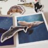 Bamboo Magnetic Pieces "Marine Animals"