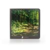 Book with Realistic images "The Forest"