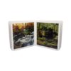 Book with Realistic images "The Forest"