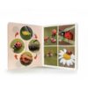 Book with Realistic images "Life Cycles"