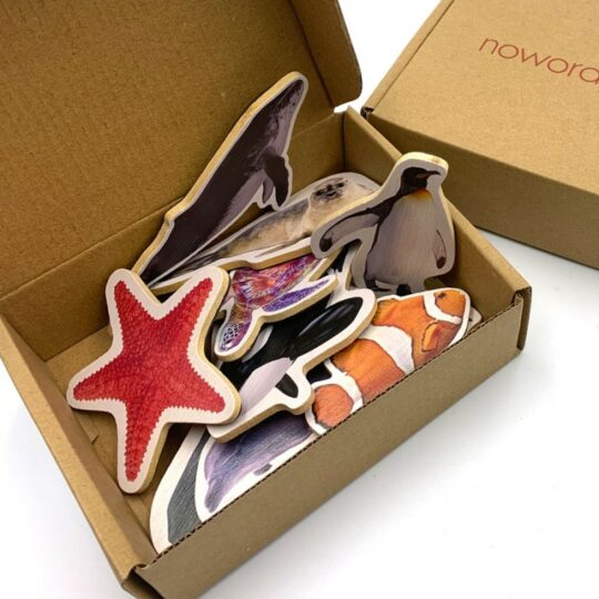 Bamboo Magnetic Pieces "Marine Animals"