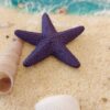 Handmade Theme Trays - Beach