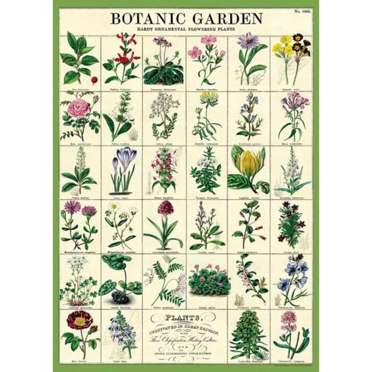 Vintage Poster - Botanic Garden