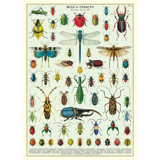 Vintage Poster - Bugs & insects
