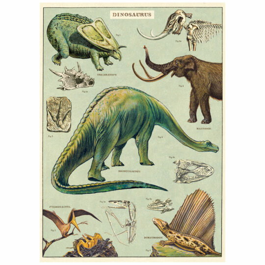 Vintage Poster - Dinosaurs