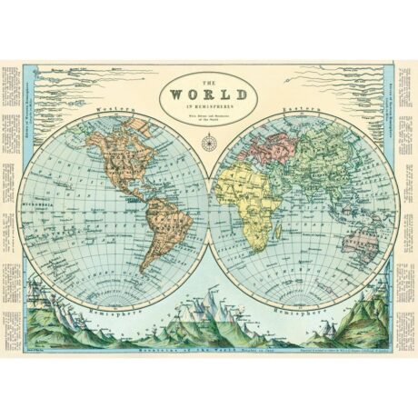 Vintage Poster - Hemispheres Map