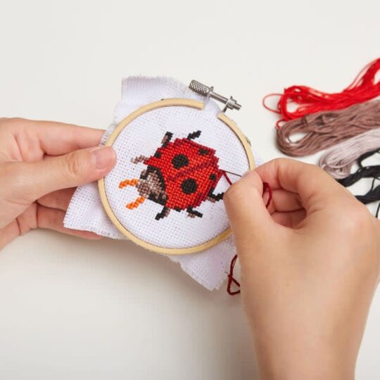 Mini Embroidery Kit - Lady Bug