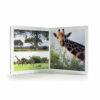 Book with Realistic images "Savannah Animals Large"
