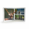 Book with Realistic images "Forest Animals Large"