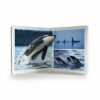 Book with Realistic images "Marine Animals Large"