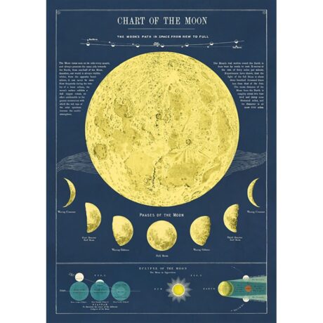 Vintage Poster - Moon Chart
