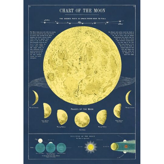 Vintage Poster - Moon Chart