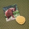 Safari Footprints