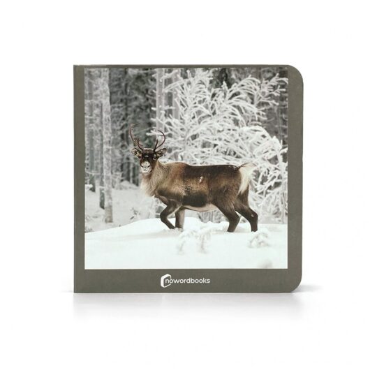 Book with Realistic images "Polar Animals"