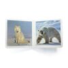 Book with Realistic images "Polar Animals"