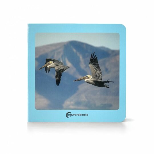 Book with Realistic images “Birds”