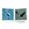 Book with Realistic images “Birds”