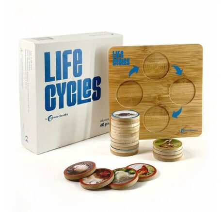 The Life Cycles