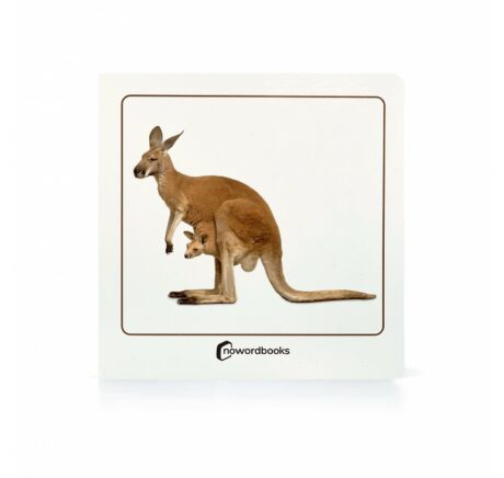 Book with Realistic images  "Wild Animals and their Young"